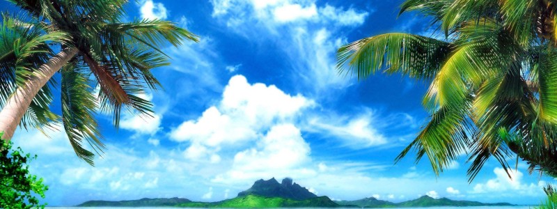 World Reggae Playlist